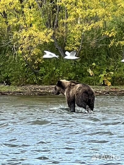 Джип-тур по Камчатке