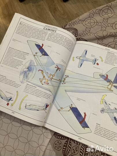 Дэвид Маколи. Как Все Устроено