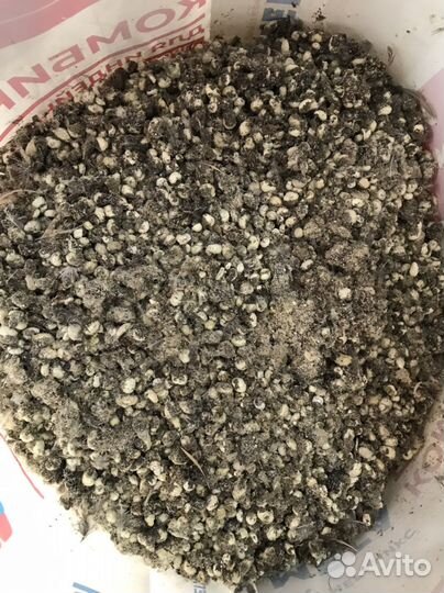 Навоз перепелиный, куриный, кроличий