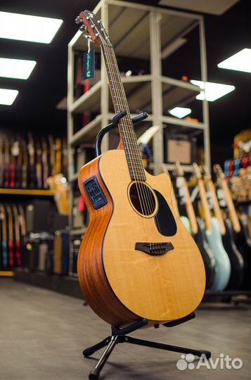 Furch Violet Gc-SM Master's Choice