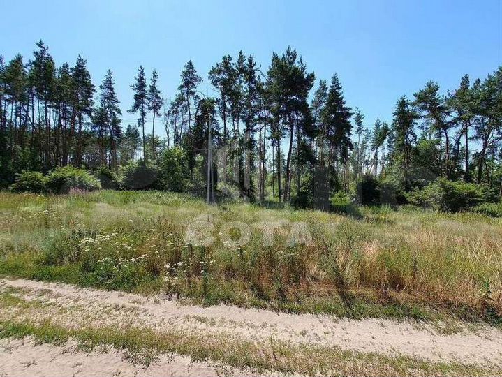 Участок 10,6 сот. (ИЖС)