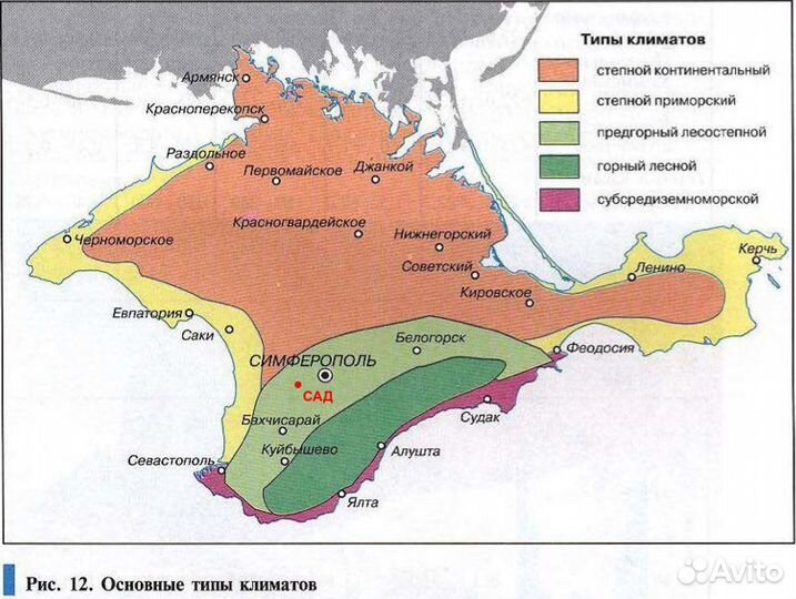 Молодой плодоносящий персиковый сад в Крыму 8 га