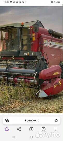 Уборка урожая кукурузы комбаином