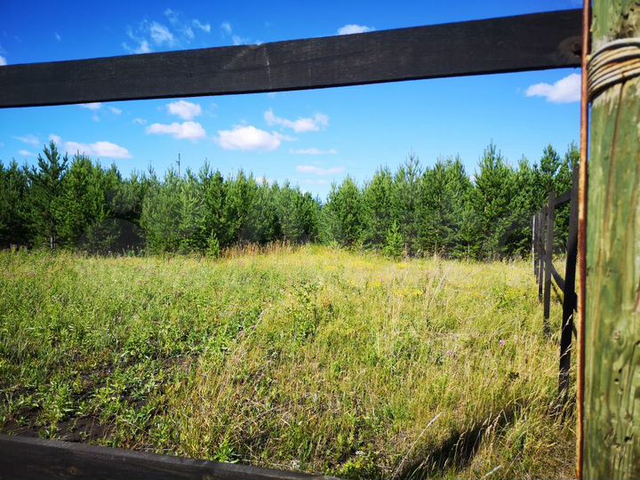 Участок 22 сот. (СНТ, ДНП)