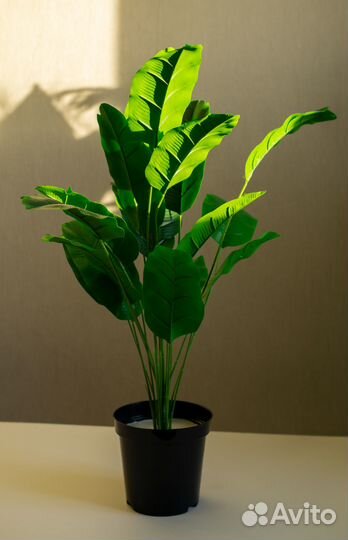 Искусственное дерево, растение, Стрелиция, Шефлера