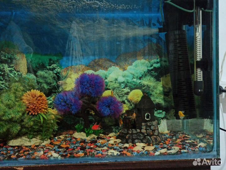 Аквариум с рыбками