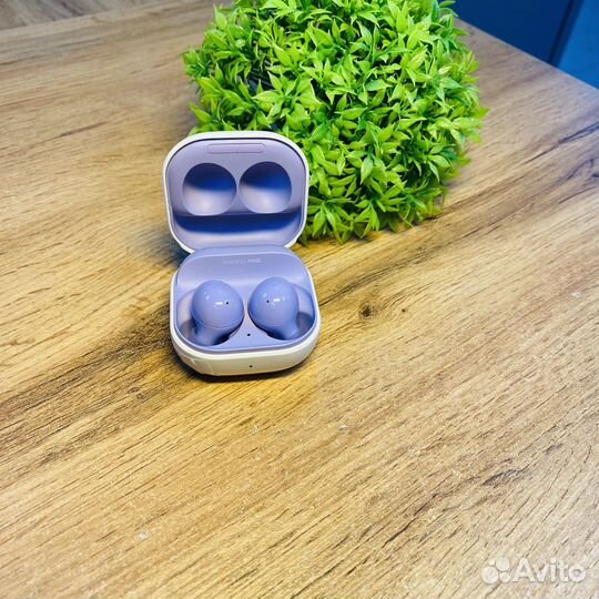 Наушники True Wireless Samsung Galaxy Buds2