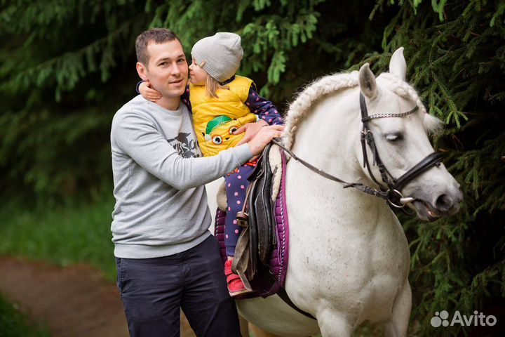 Пони, лошади, кареты. Конные прогулки