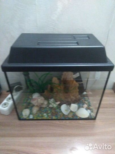 Аквариум