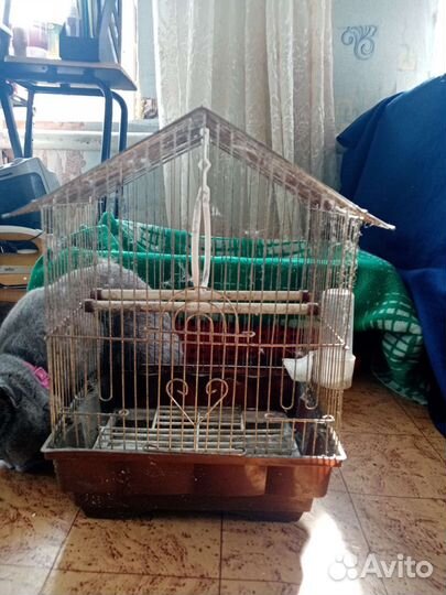 Клетка для птичек