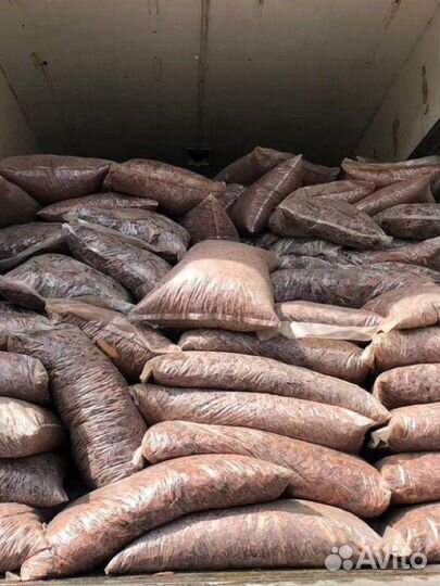 Сосновая кора