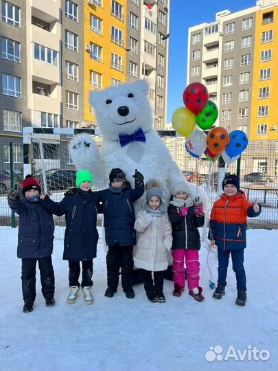 Танцующий Белый мишка Поздравление Аниматор