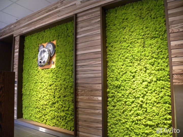 Стабилизированный Мох. Искусственное озеленение