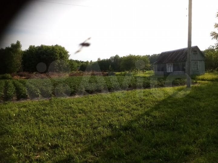 Участок 10 сот. (ИЖС)