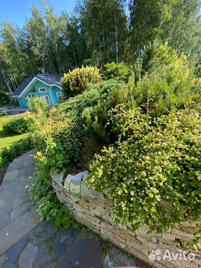 Ландшафтное строительство