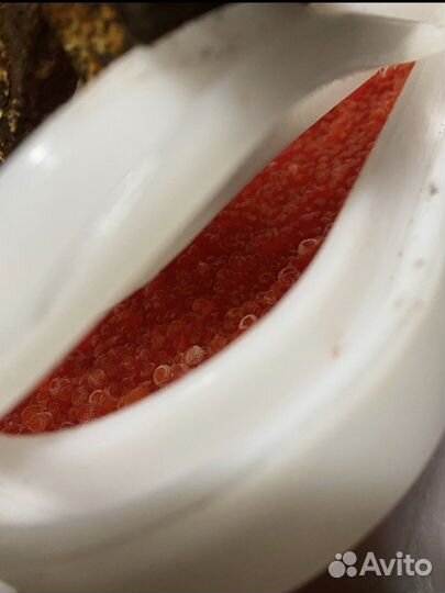 Красная икра горбуши