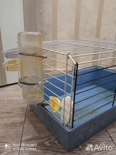 Клетка для грызунов ferplast