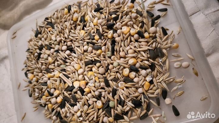 Корм для грызунов