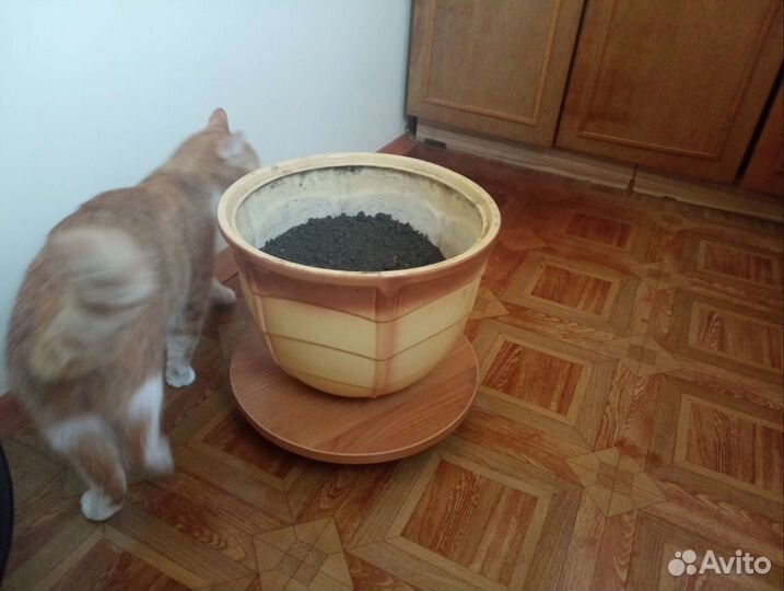 Горшок для цветов