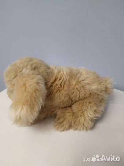 Мягкие игрушки Собачка и Кошка