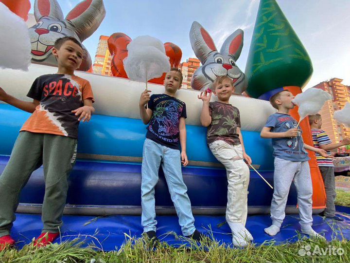 Аренда батута на др