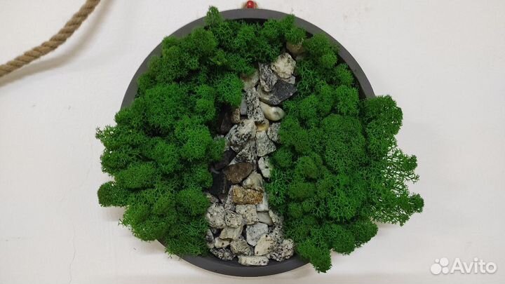 Панно из стабилизированного мха