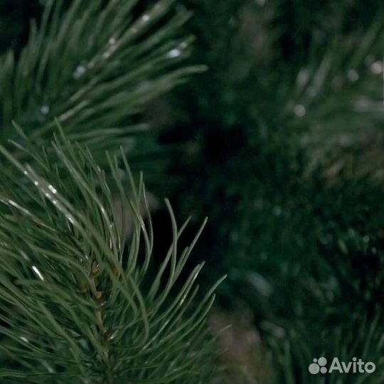 Елка искусственная литая Сосна