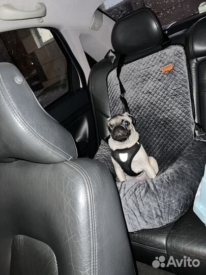 Автокресло для собак животных