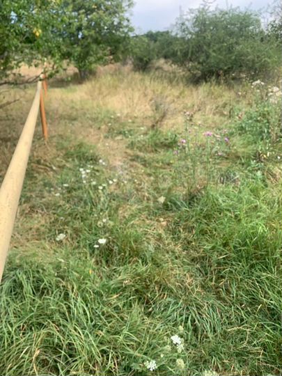 Участок 5 сот. (ИЖС)