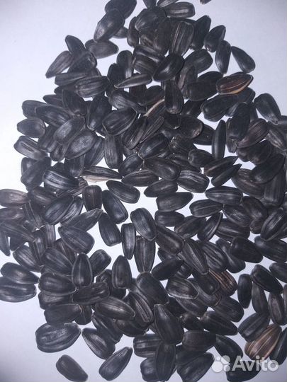 Мука мясокостная, дрожжи пшено, сено, жмых