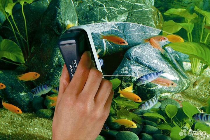 Обслуживание аквариумов