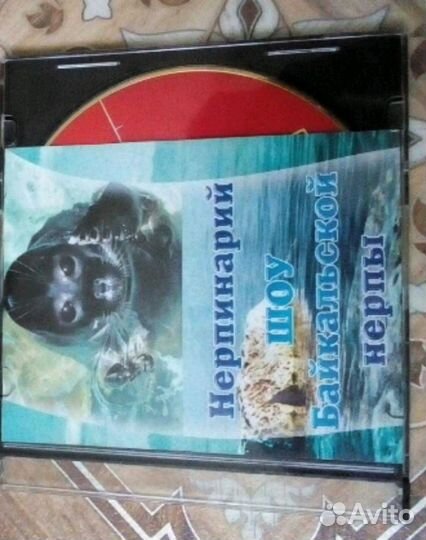 Журнал Ольхон (Байкал). DVD Байкальские нерпы
