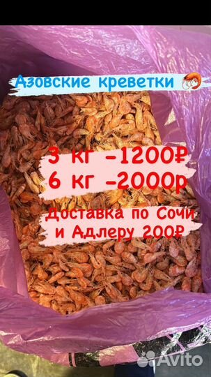 Азовская креветка