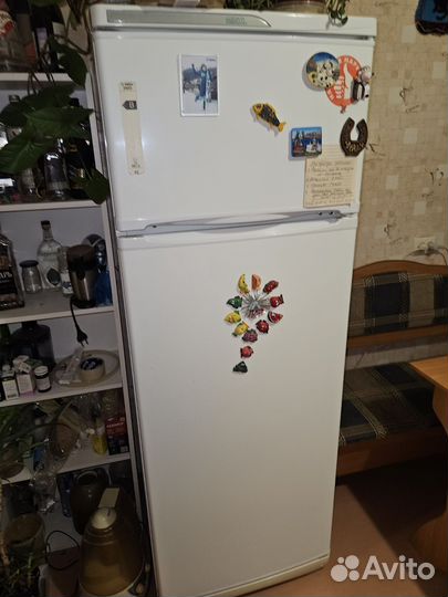 Холодильник бу stinol