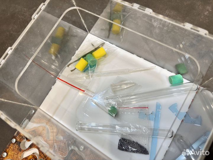 Муравьиная ферма бу