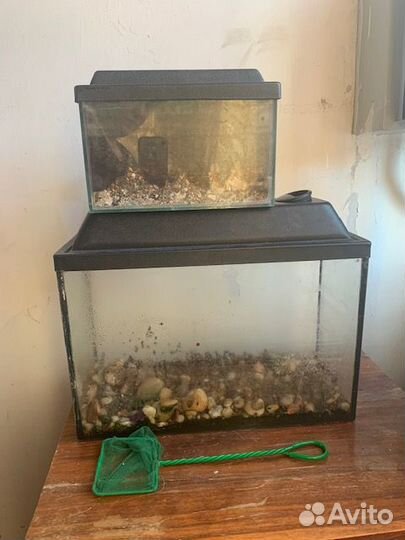 Аквариум