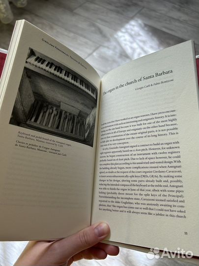 Fabio Bonizzoni книга на французском/английском