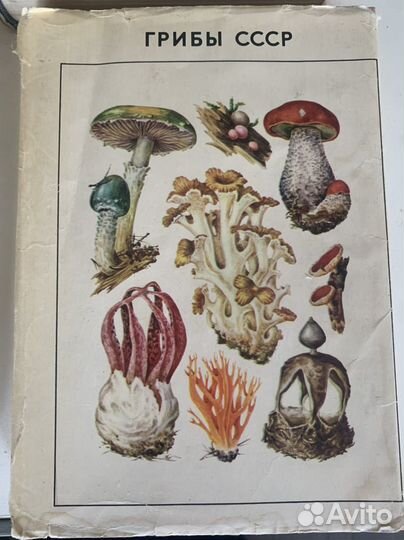 Книги. Справочники определители географа и путеш