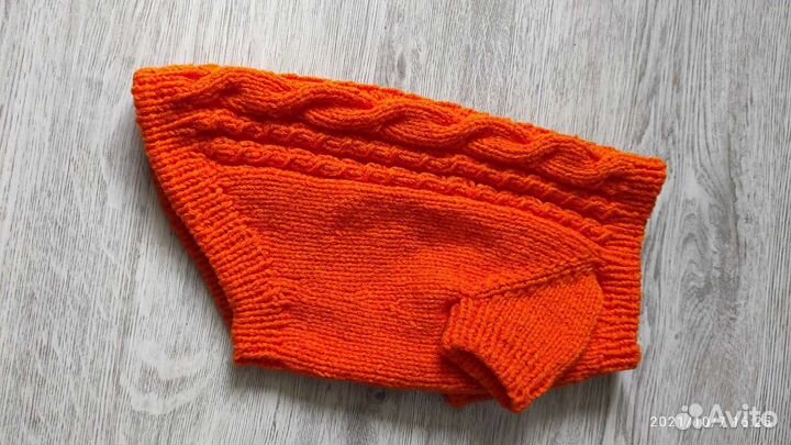 Одежда для собак