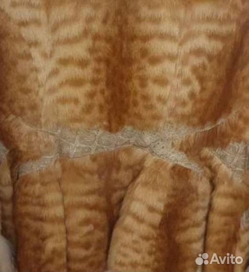 Жилетка из камышового кота