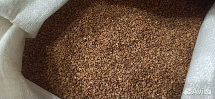 Гречка / рис