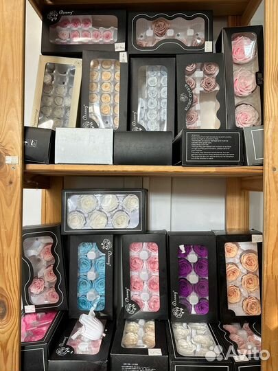 Роза стабилизированная