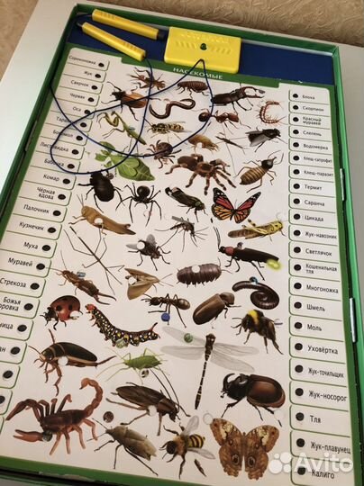 Электровикторина Educa «Животный мир»