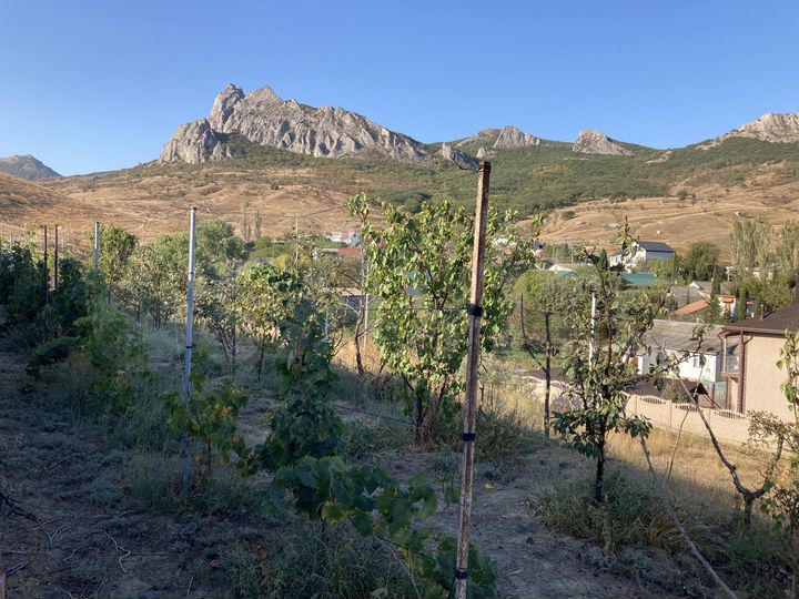 Участок 8,4 сот. (ИЖС)