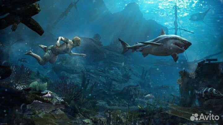 Assassin's Creed Чёрный флаг для PS4/PS5