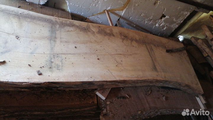 Слэб дерева