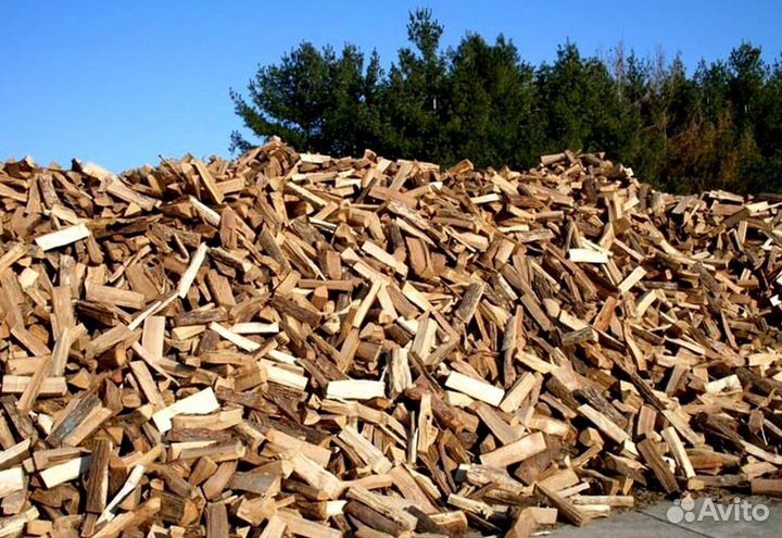 Дрова оптом