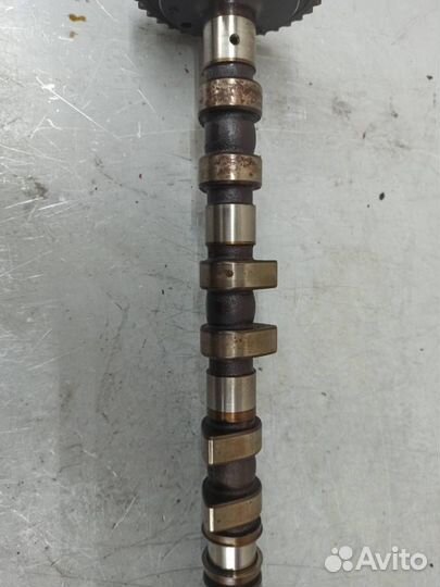 Распредвал выпускной Mercedes W140 S