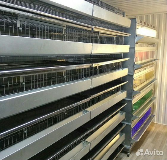 Перепелиная ферма