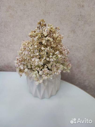 Сухоцветы в кашпо